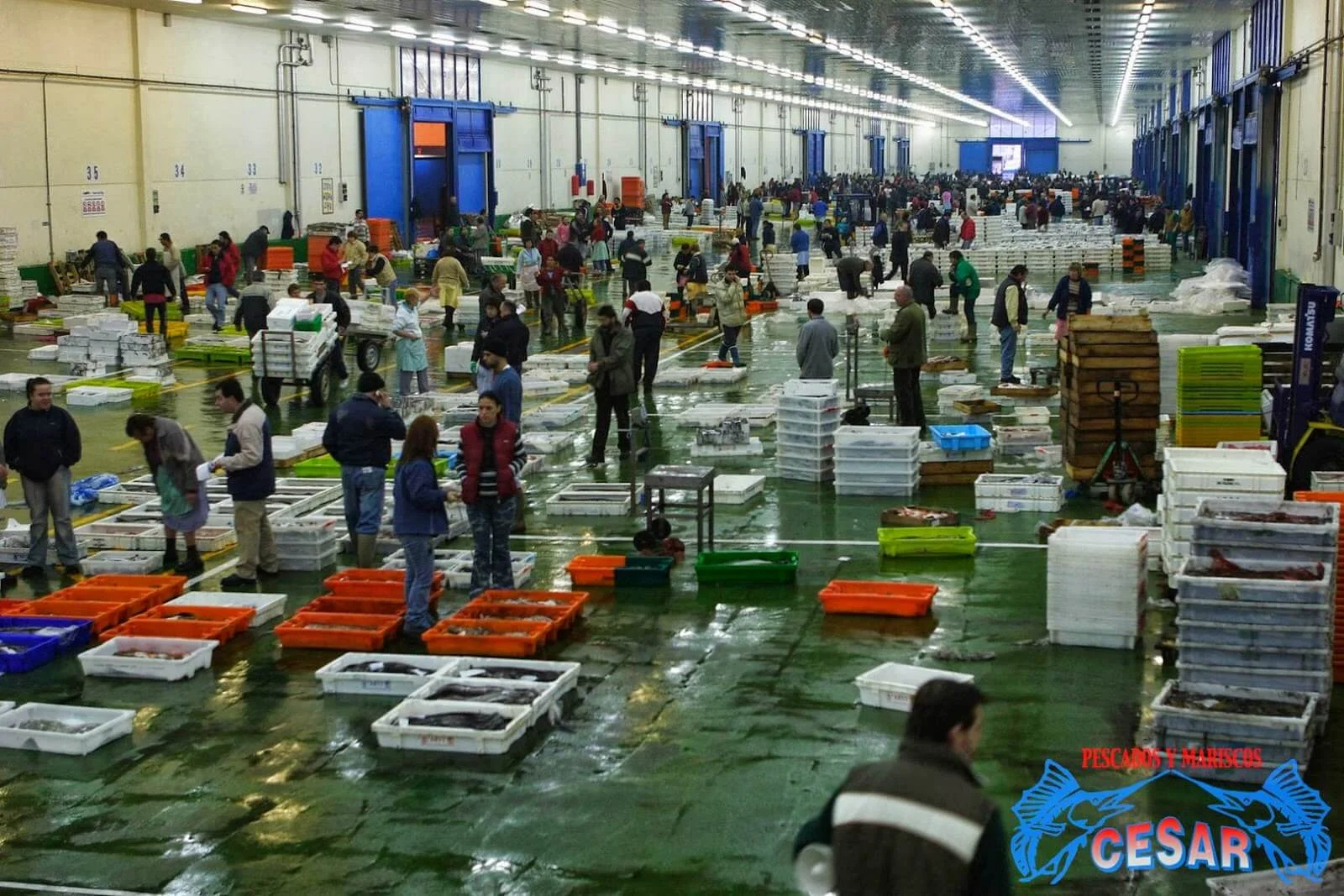 software para comercializar pescado