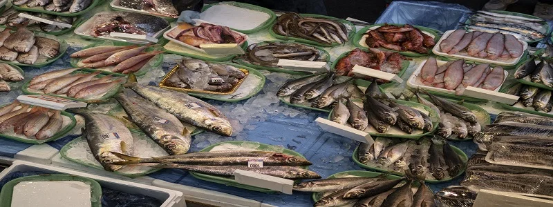 programa de trazabiliddad de pescado